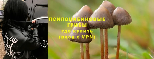 герыч Алексин