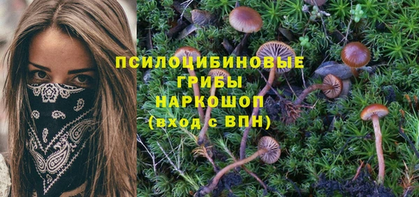 спиды Алексеевка