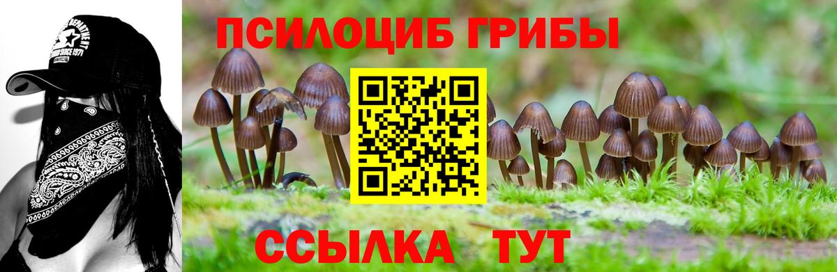 купить наркотики цена  Вход с VPN  Галлюциногенные грибы ЛСД  Волжский  Псилоцибиновые грибы ЛСД 