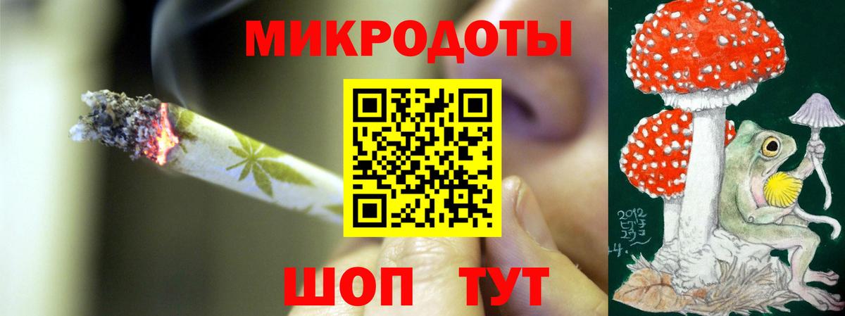 Галлюциногенные грибы Psilocybe Волжский